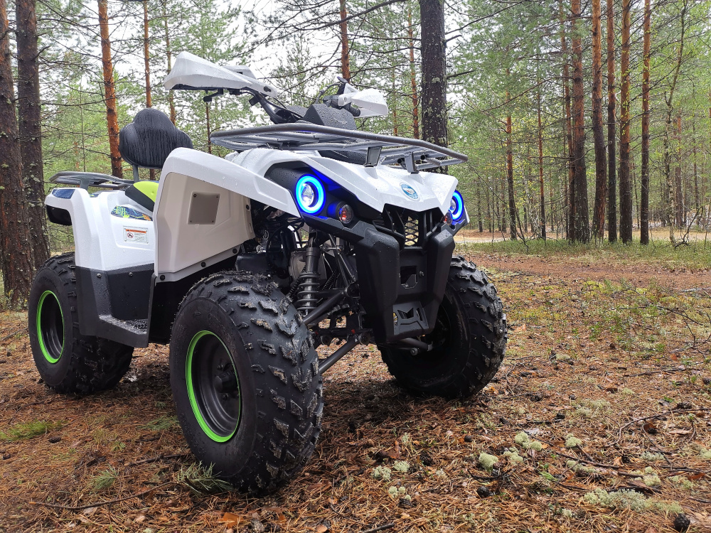 Квадроцикл PROMAX RENEGADE 280 (2025) 