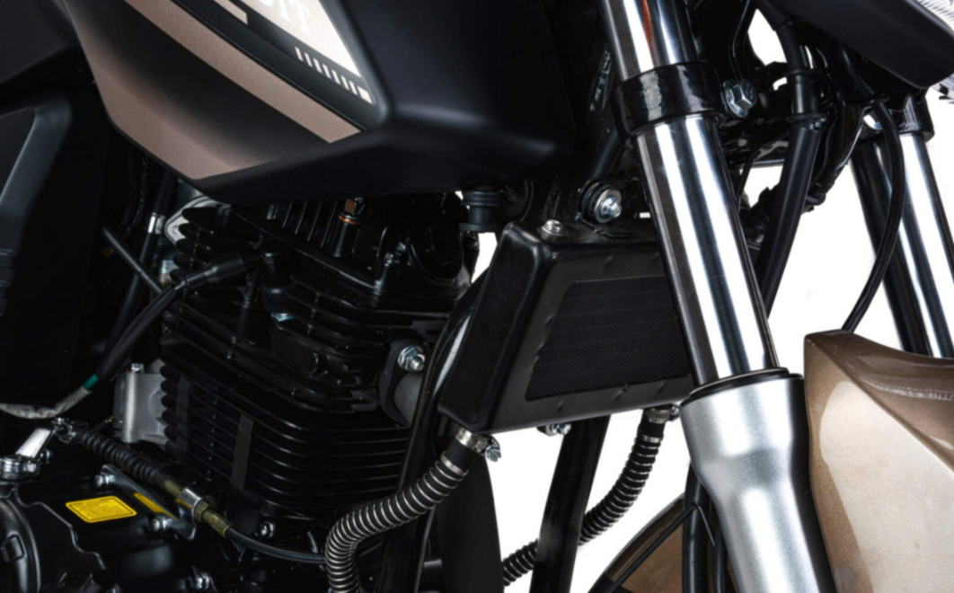 Мотоцикл MOTOLAND (МОТОЛЕНД) 300 BANDIT 