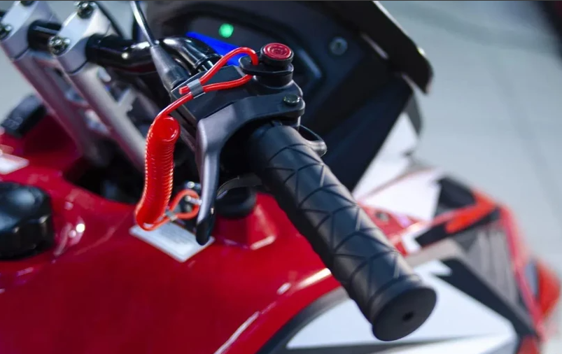 Снегоход Ataki WD 300 