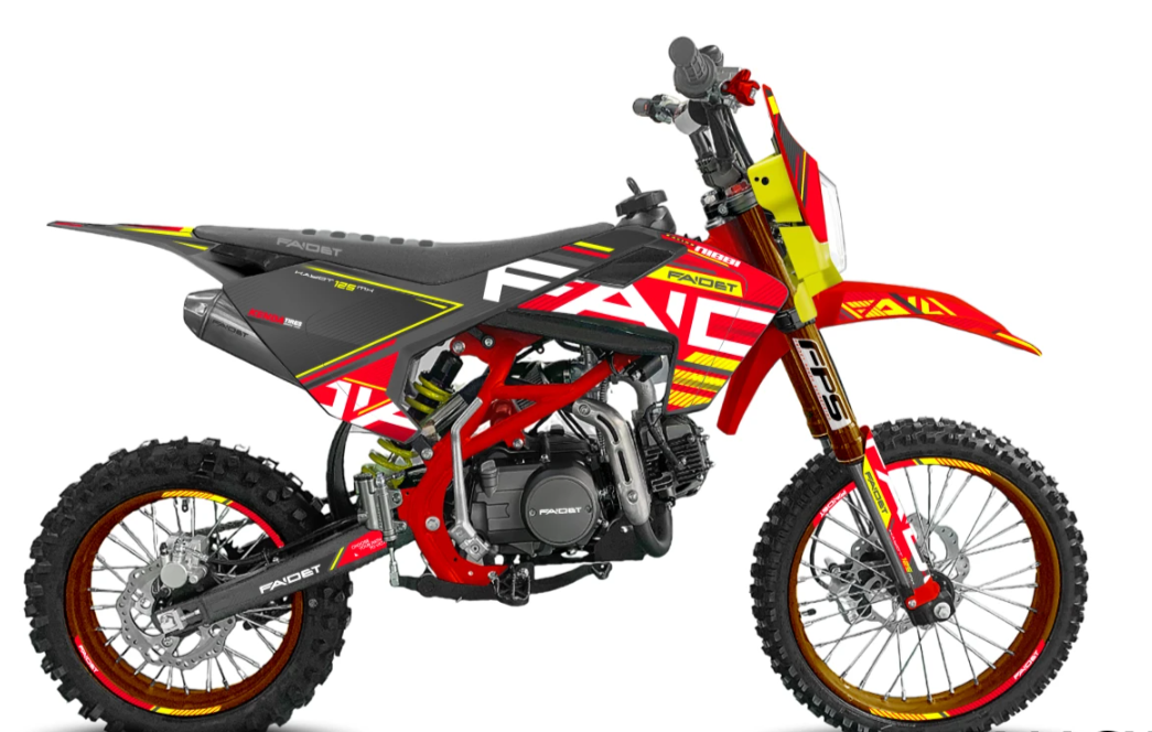 Питбайк FAIDET KAYOT 150E-PRO 19/16 