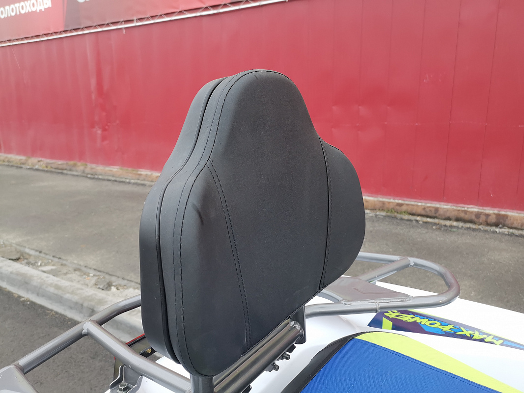 Квадроцикл PROMAX RENEGADE 280 LUX (2025) 