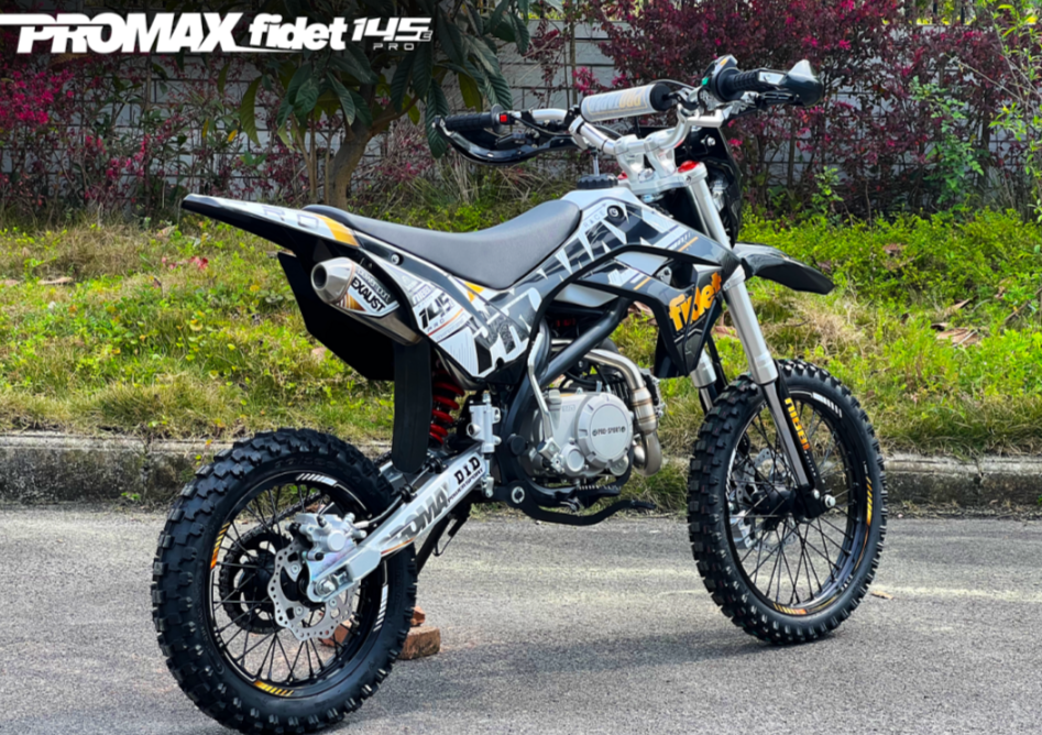 Мотоцикл (питбайк) PROMAX FIDET (ФАЙДЕТ) 145E PRO 17/14 