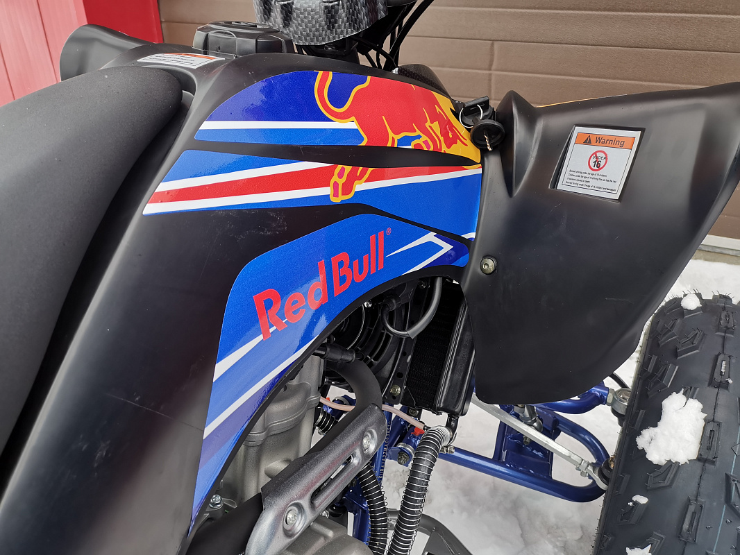Квадроцикл PROMAX RAPTOR 300 NEW RedBull 