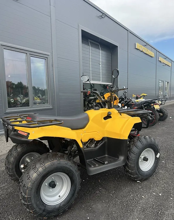 КВАДРОЦИКЛ IRBIS ATV 250  