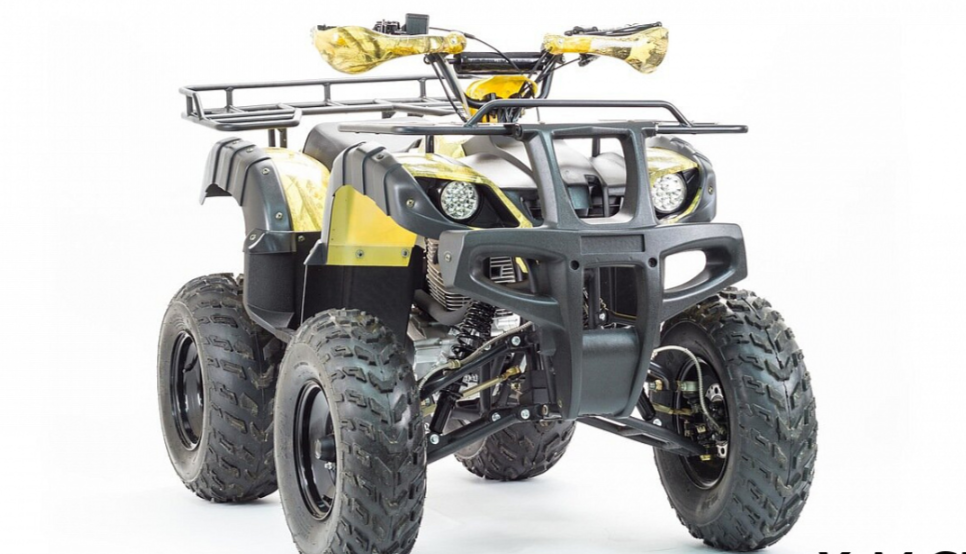 Квадроцикл MOTOLAND (МОТОЛЕНД) 250 ADVENTURE 