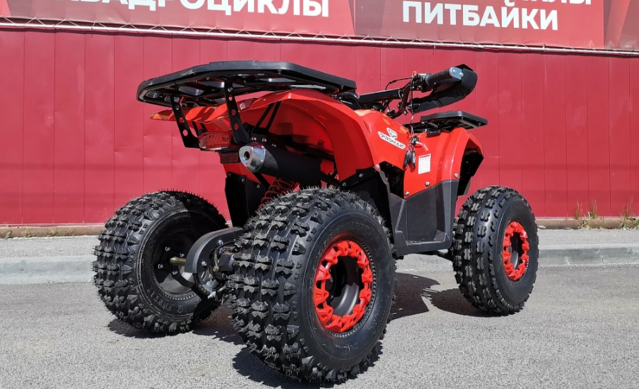Квадроцикл PROMAX WILD 175 BASIC 