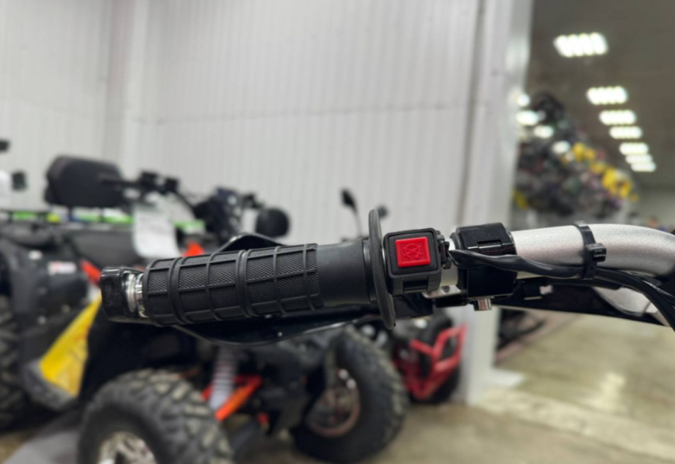 Мотоцикл (питбайк) PROMAX FIDET (ФАЙДЕТ) 145E PRO 17/14 