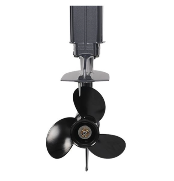 Лодочный мотор ALLFA CG Т40FW S 