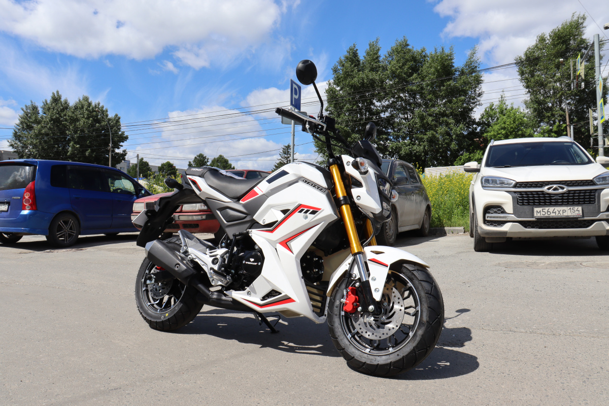 Мотоцикл PROMAX STRYKER 200(49) 2.0 