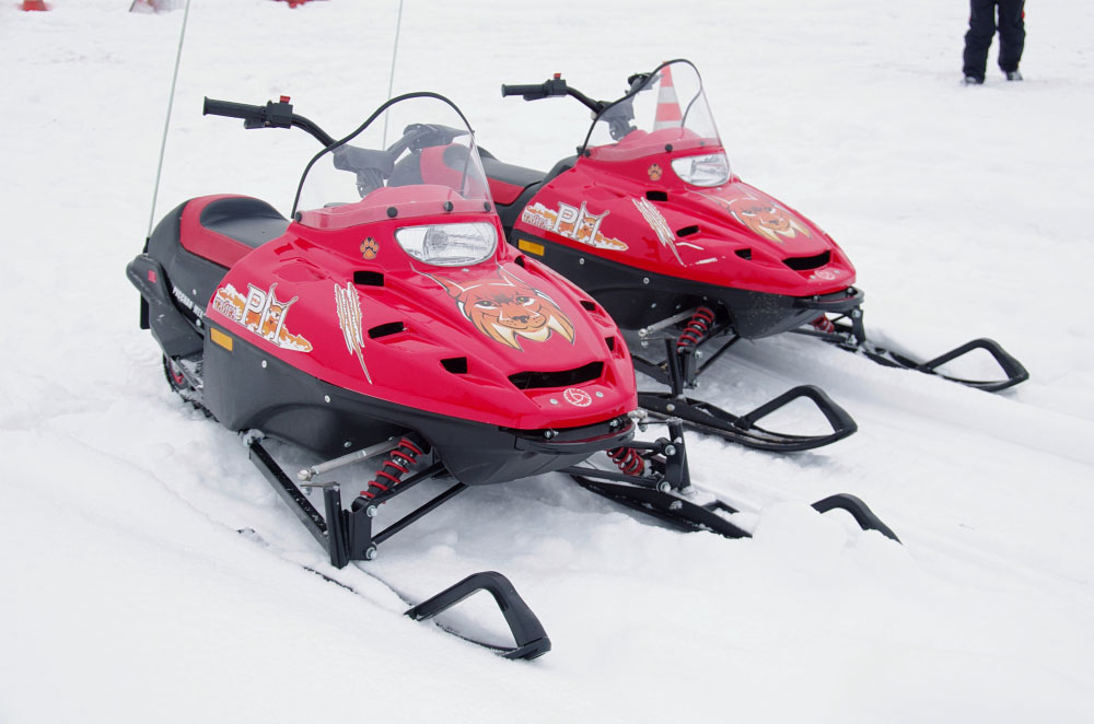 Снегоход РМ ТАЙГА РЫСЬ 