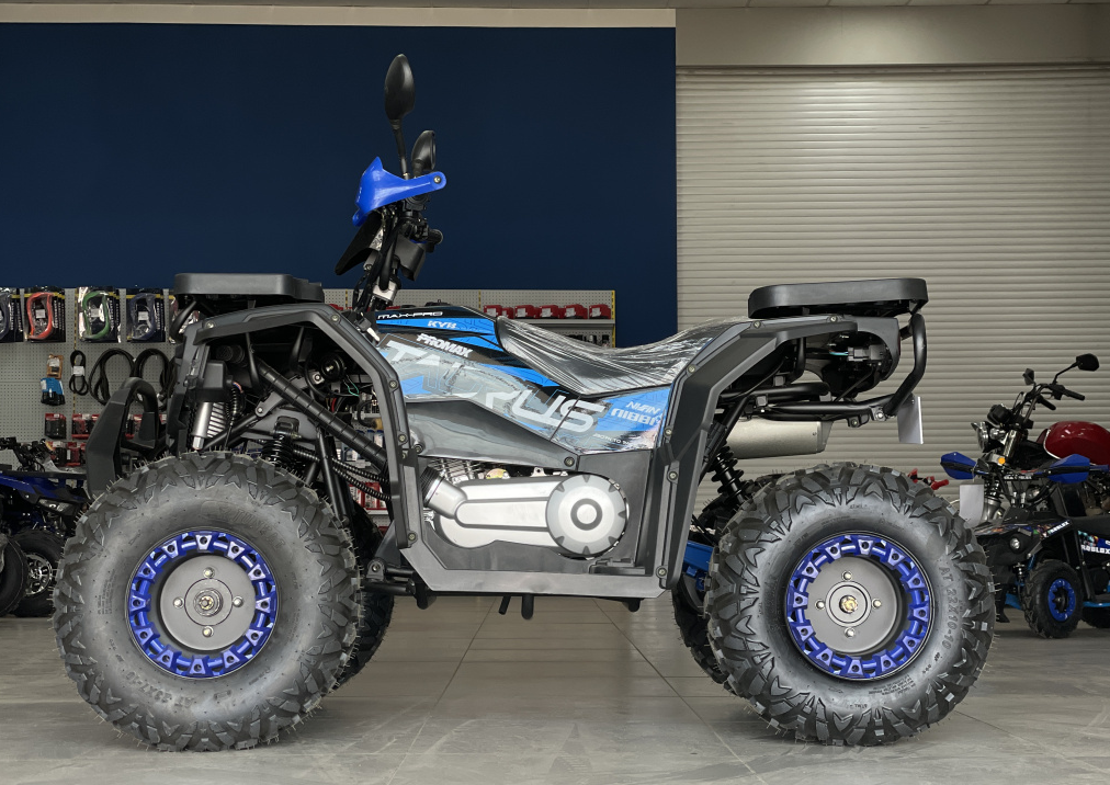 Квадроцикл PROMAX TAURUS 300 