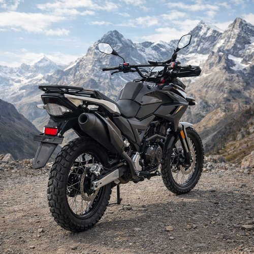 Мотоцикл PROMAX TOURING PR300 