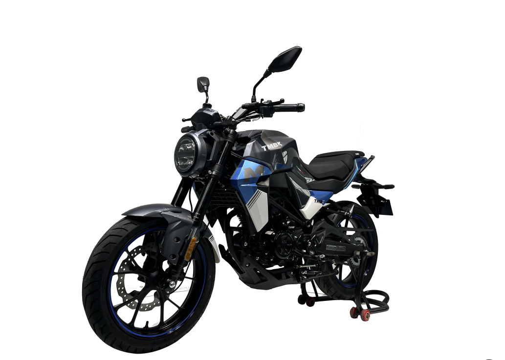 Мотоцикл TMBK MONTANA 250 (165 FMM) 