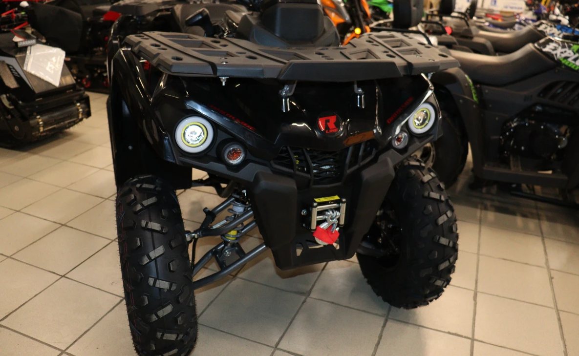 Квадроцикл PROMAX RENEGADE 300 LONG WINCH PRO (2025) 