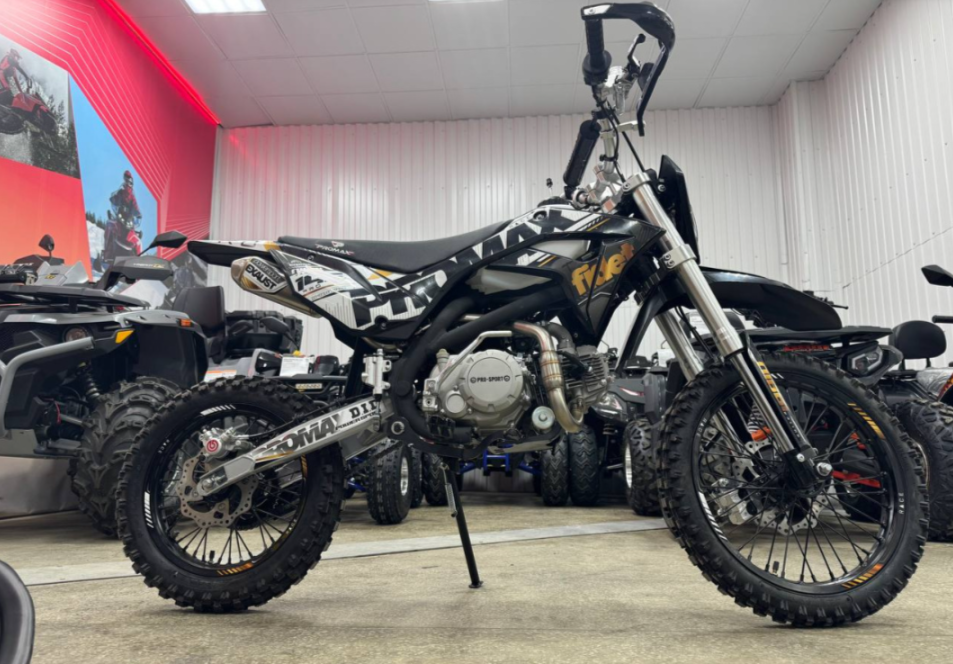 Мотоцикл (питбайк) PROMAX FIDET (ФАЙДЕТ) 145E PRO 17/14 