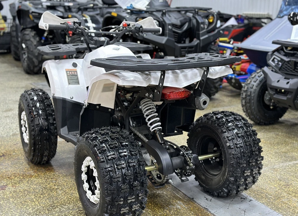 Квадроцикл PROMAX WILD 2.0 190 