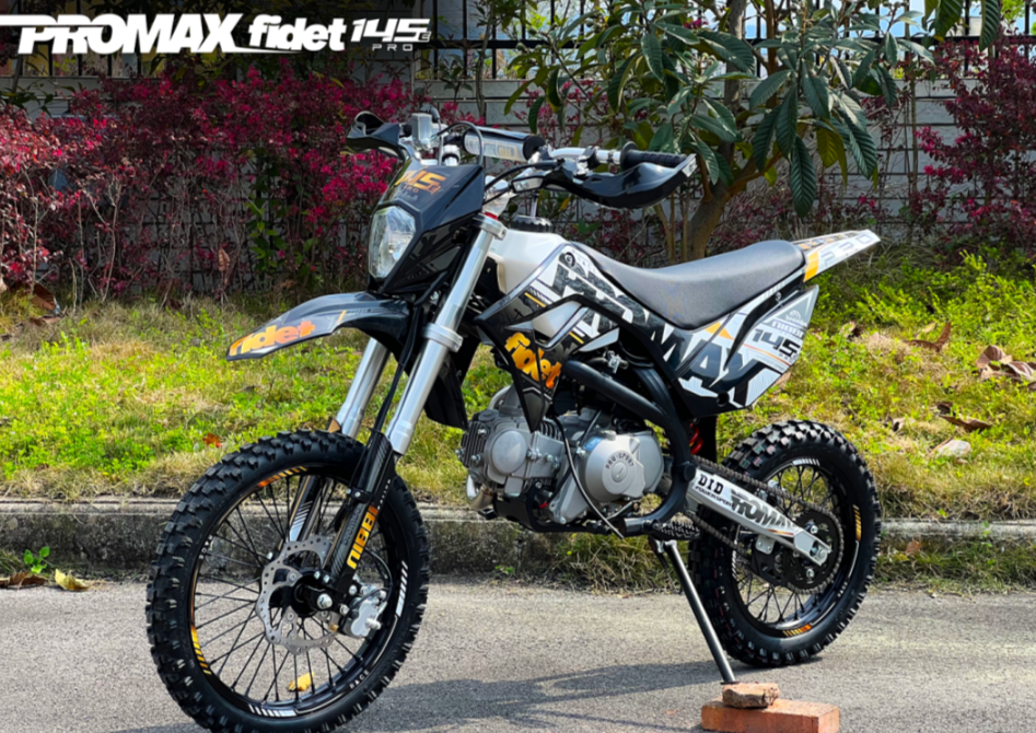 Мотоцикл (питбайк) PROMAX FIDET (ФАЙДЕТ) 145E PRO 17/14 