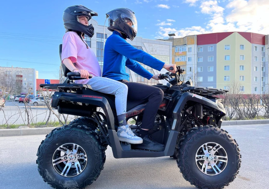 Квадроцикл PROMAX RENEGADE 300 LONG WINCH PRO (2025) 