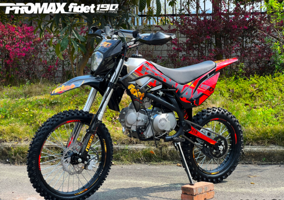 Мотоцикл (питбайк) PROMAX FIDET (ФАЙДЕТ) 190E MAX PRO LUX 19/16 