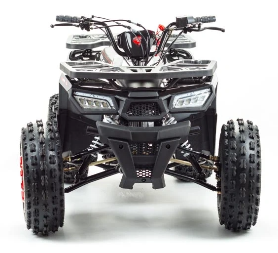 Квадроцикл PROMAX WILD 175 