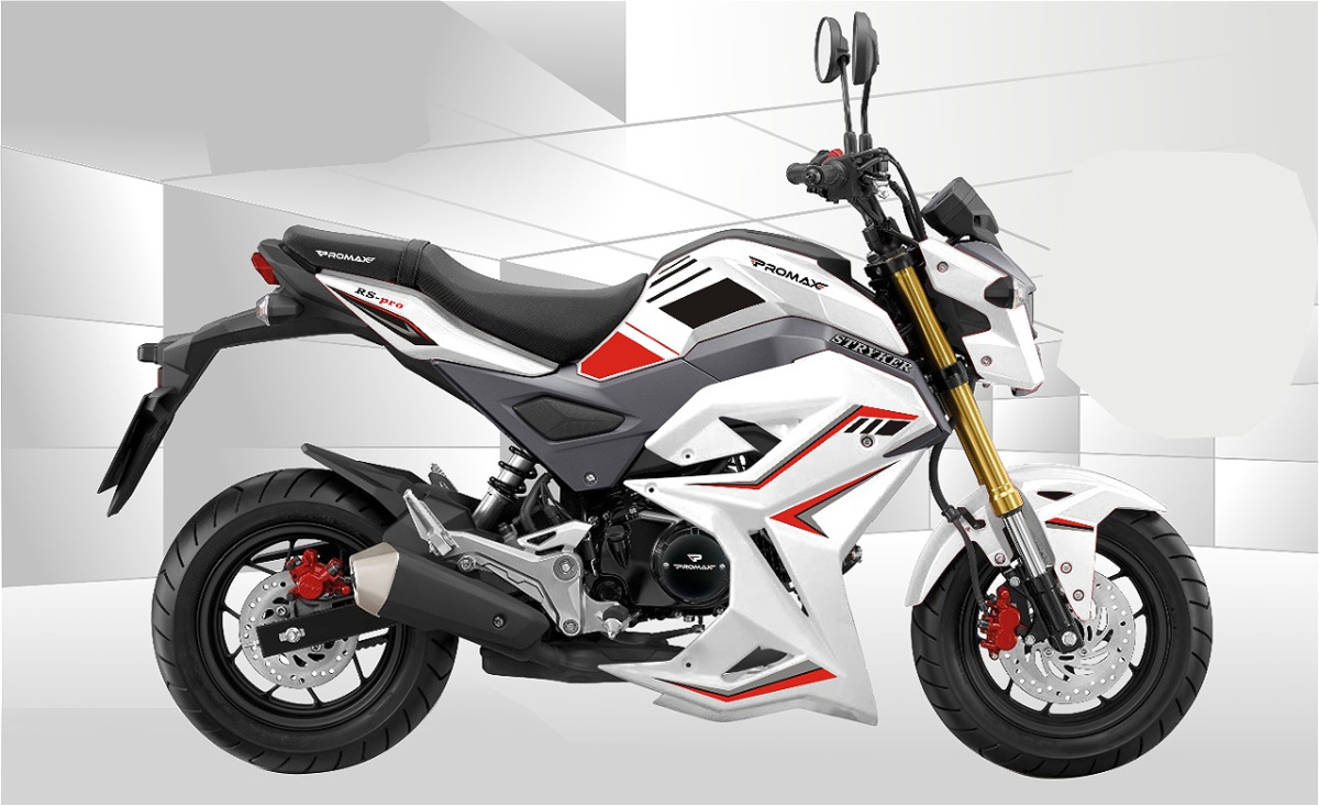 Мотоцикл PROMAX STRYKER 200(49) 2.0 