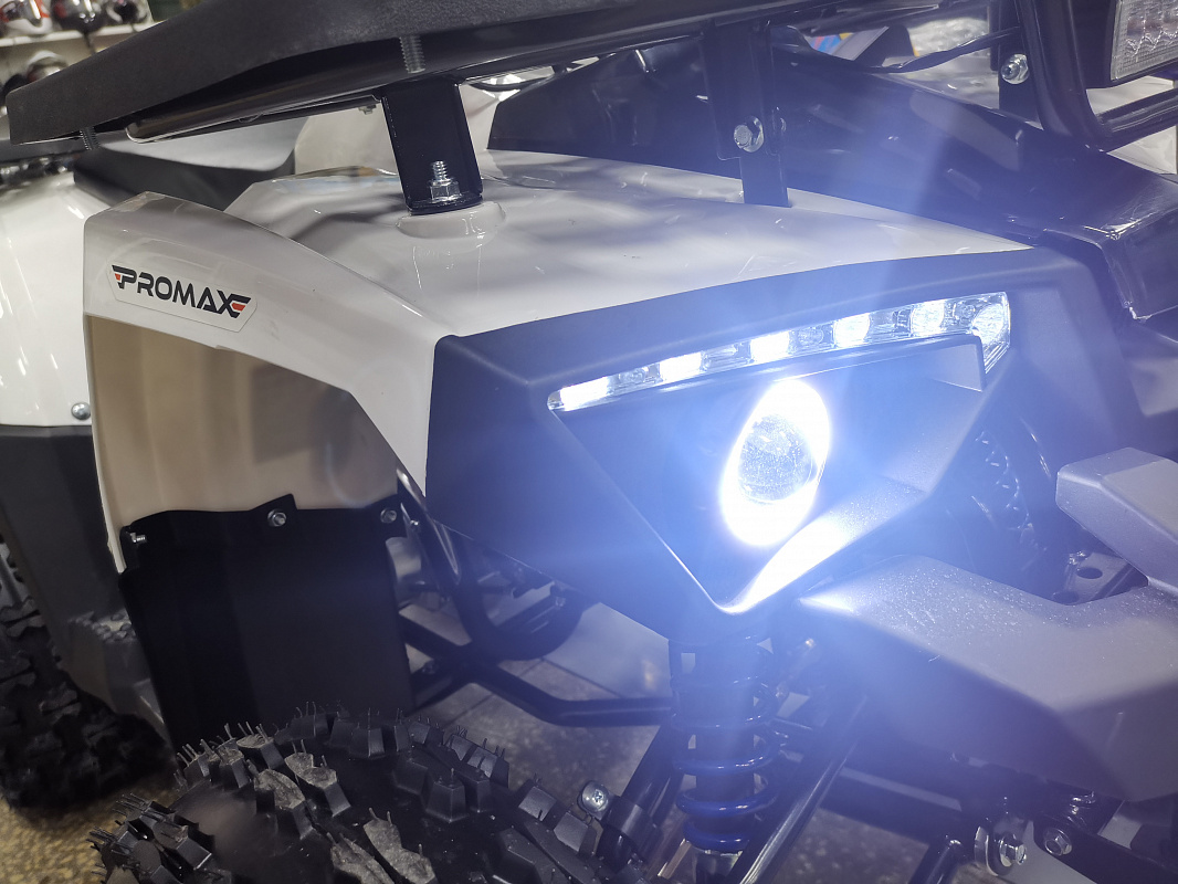 Квадроцикл PROMAX WILD 175 LUX 