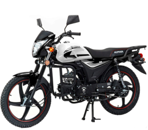 Мопед MOTOLAND (МОТОЛЕНД) Альфа RS 11 (LM48-B) 