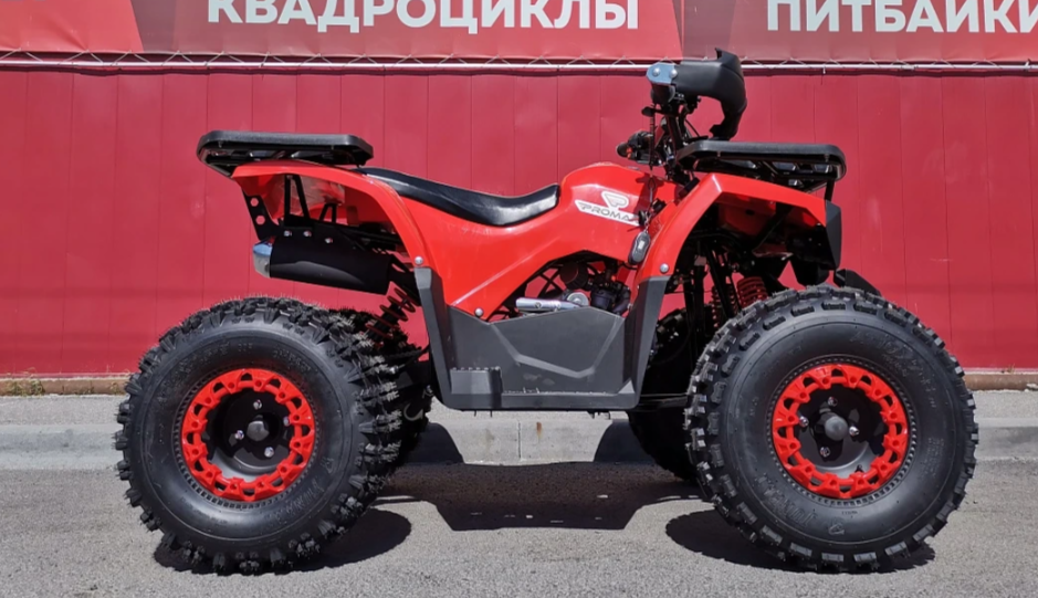 Квадроцикл PROMAX WILD 175 BASIC 