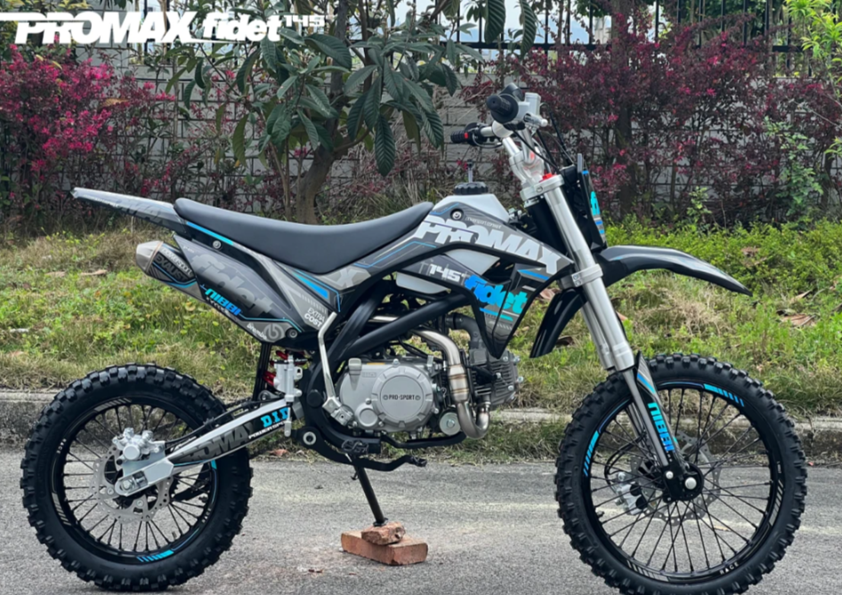 Мотоцикл (питбайк) PROMAX FIDET (ФАЙДЕТ) 145E 17/14 