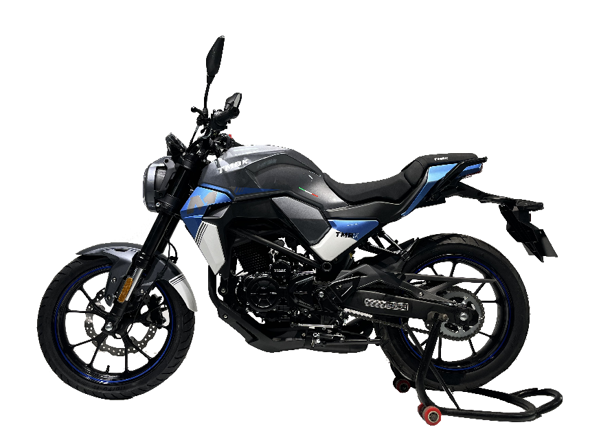 Мотоцикл TMBK MONTANA 250 (165 FMM) 