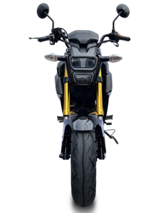 Мотоцикл PROMAX STRYKER 200(49) 