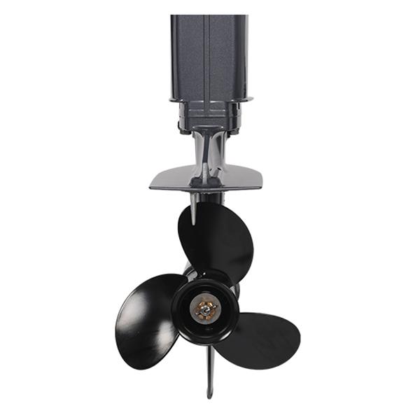 ЛОДОЧНЫЙ МОТОР ALLFA CG T30 FW S 