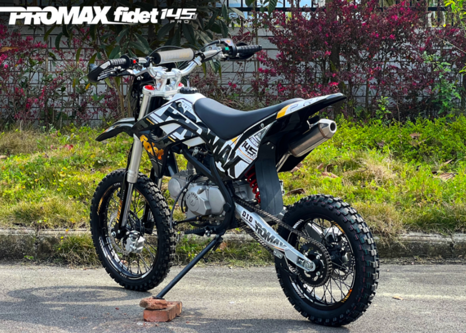 Мотоцикл (питбайк) PROMAX FIDET (ФАЙДЕТ) 145E PRO 17/14 