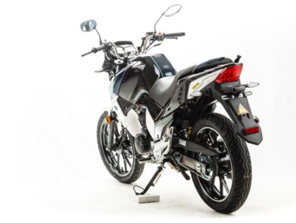 Мотоцикл MOTOLAND (МОТОЛЕНД) FIGHTER 250 