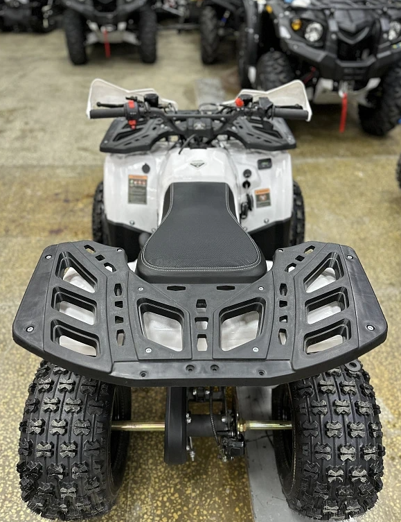 Квадроцикл PROMAX WILD 2.0 190 