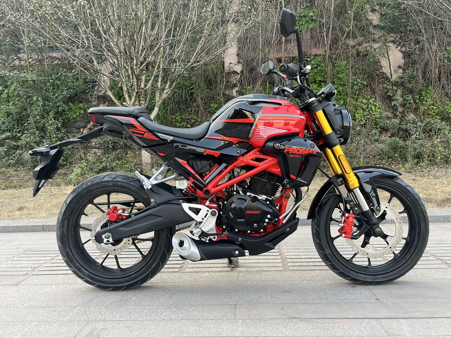 Мотоцикл PROMAX CB300 