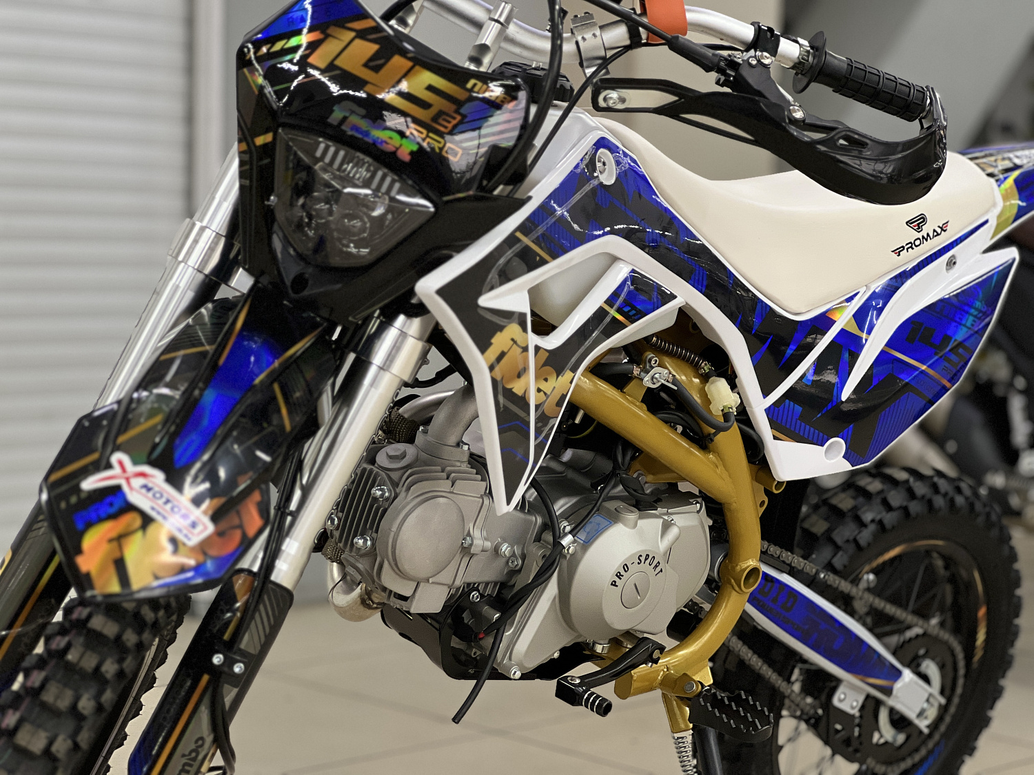 Мотоцикл (питбайк) PROMAX FIDET (ФАЙДЕТ) 145E PRO 17/14 