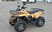 КВАДРОЦИКЛ IRBIS ATV 250 Premium  