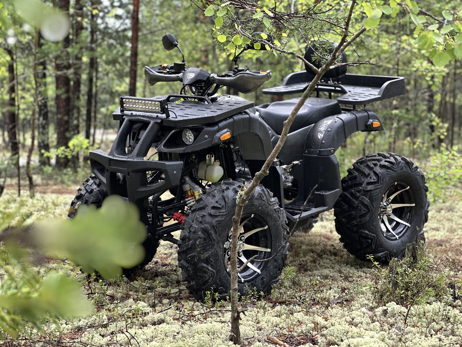 Квадроцикл PROMAX 320 DOMINATOR (2025)  Квадроцикл PROMAX 320 DOMINATOR (2025)