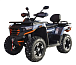 Квадроцикл MOTOLAND (МОТОЛЕНД) 300 MAX X 