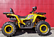 Квадроцикл PROMAX STORM 280 LUX 