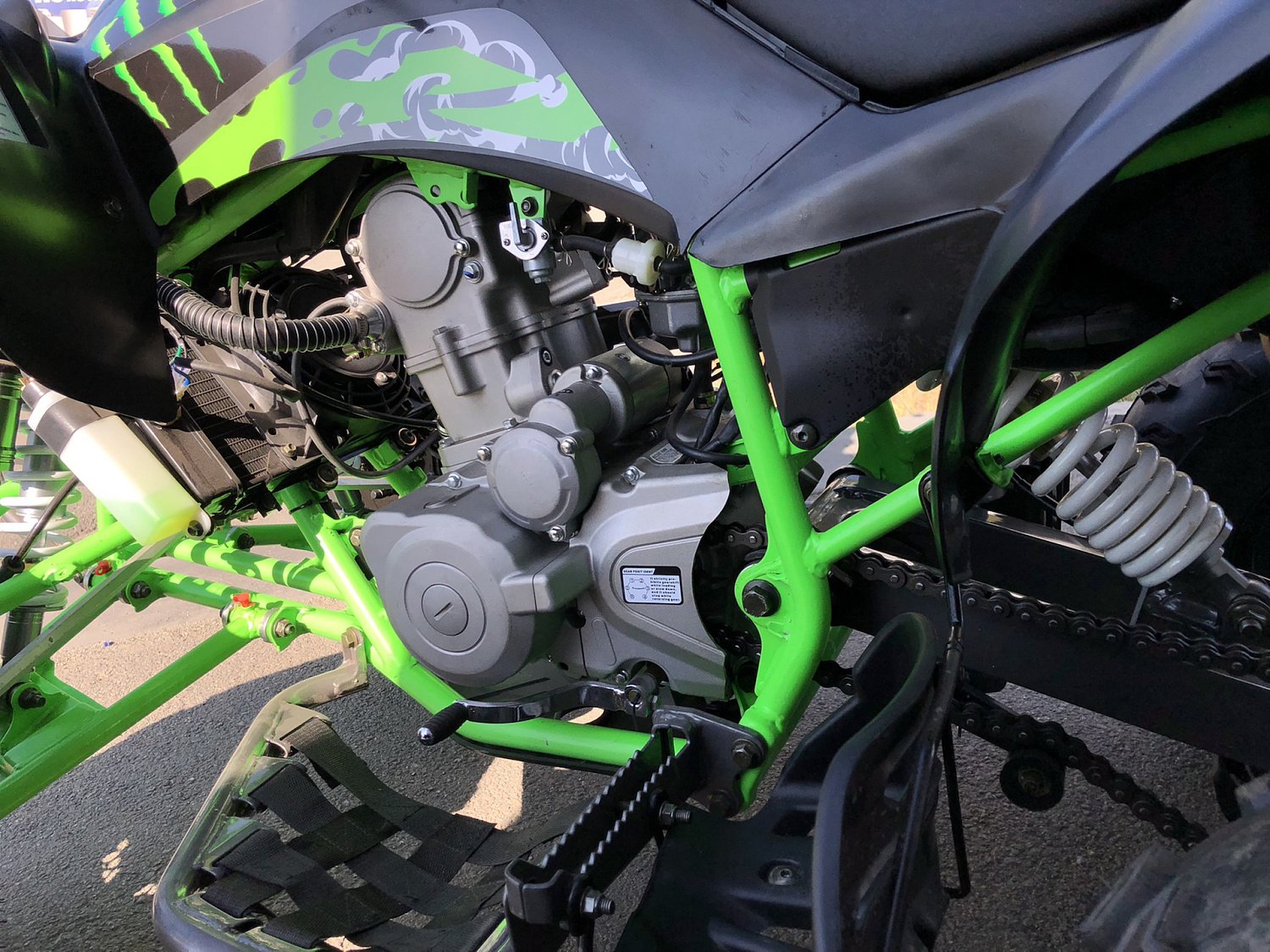 Квадроцикл PROMAX RAPTOR 300 NEW Monster 