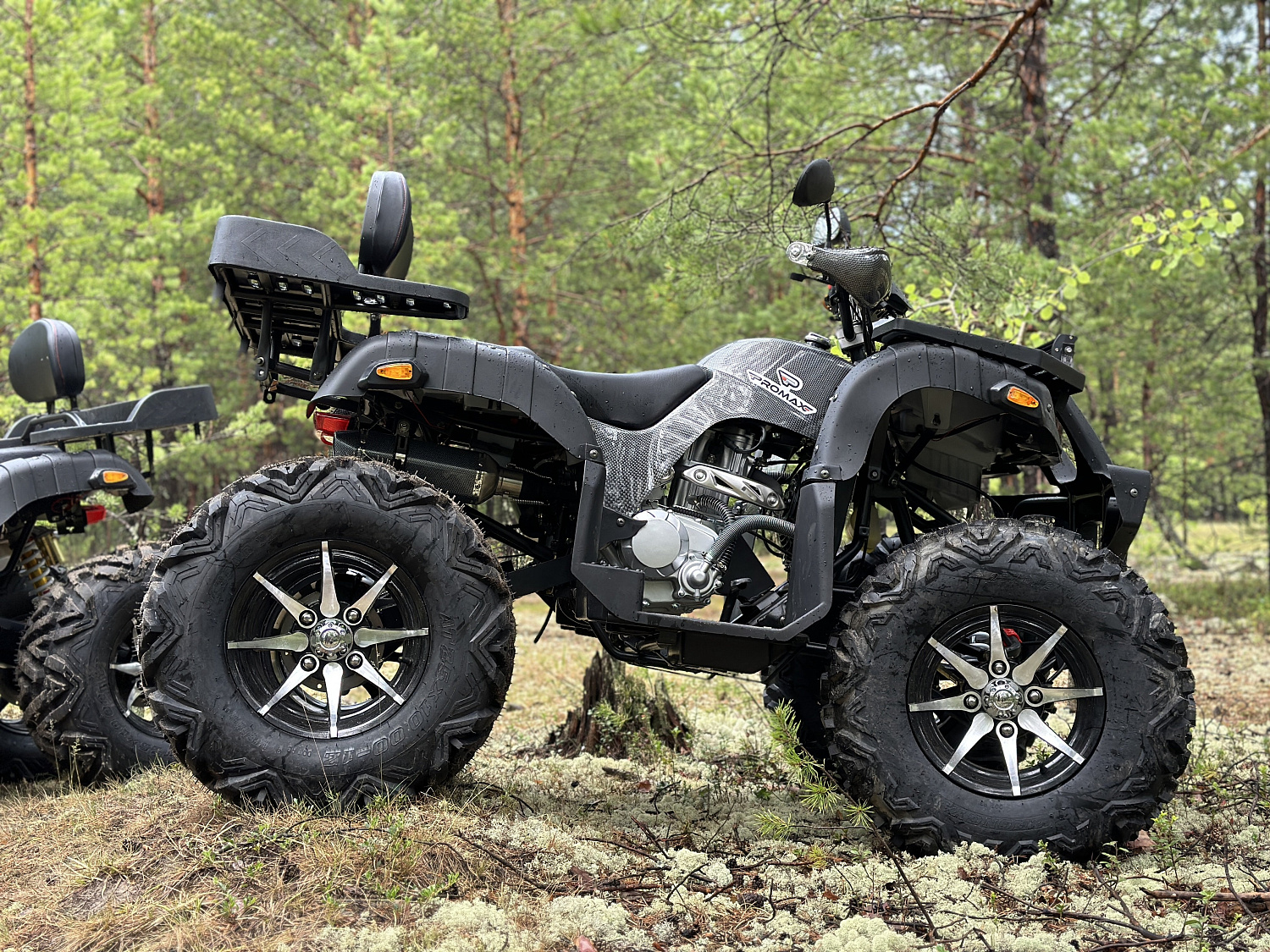 Квадроцикл PROMAX 320 DOMINATOR (2025)  Квадроцикл PROMAX 320 DOMINATOR (2025)