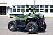 Квадроцикл IRBIS ATV 200 LUX (+лебедка) 