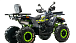 Квадроцикл MOTOLAND (МОТОЛЕНД) VOX200 WILD TRACK X WINCH (баланс. вал) 