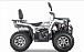 Квадроцикл YACOTA VIKING PRO 