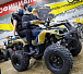 Квадроцикл PROMAX ATV 250 (2025) 