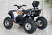 Квадроцикл GBM STORMRIDER 320 PREMIUM 