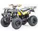 Квадроцикл MOTOLAND (МОТОЛЕНД) 250 ADVENTURE 