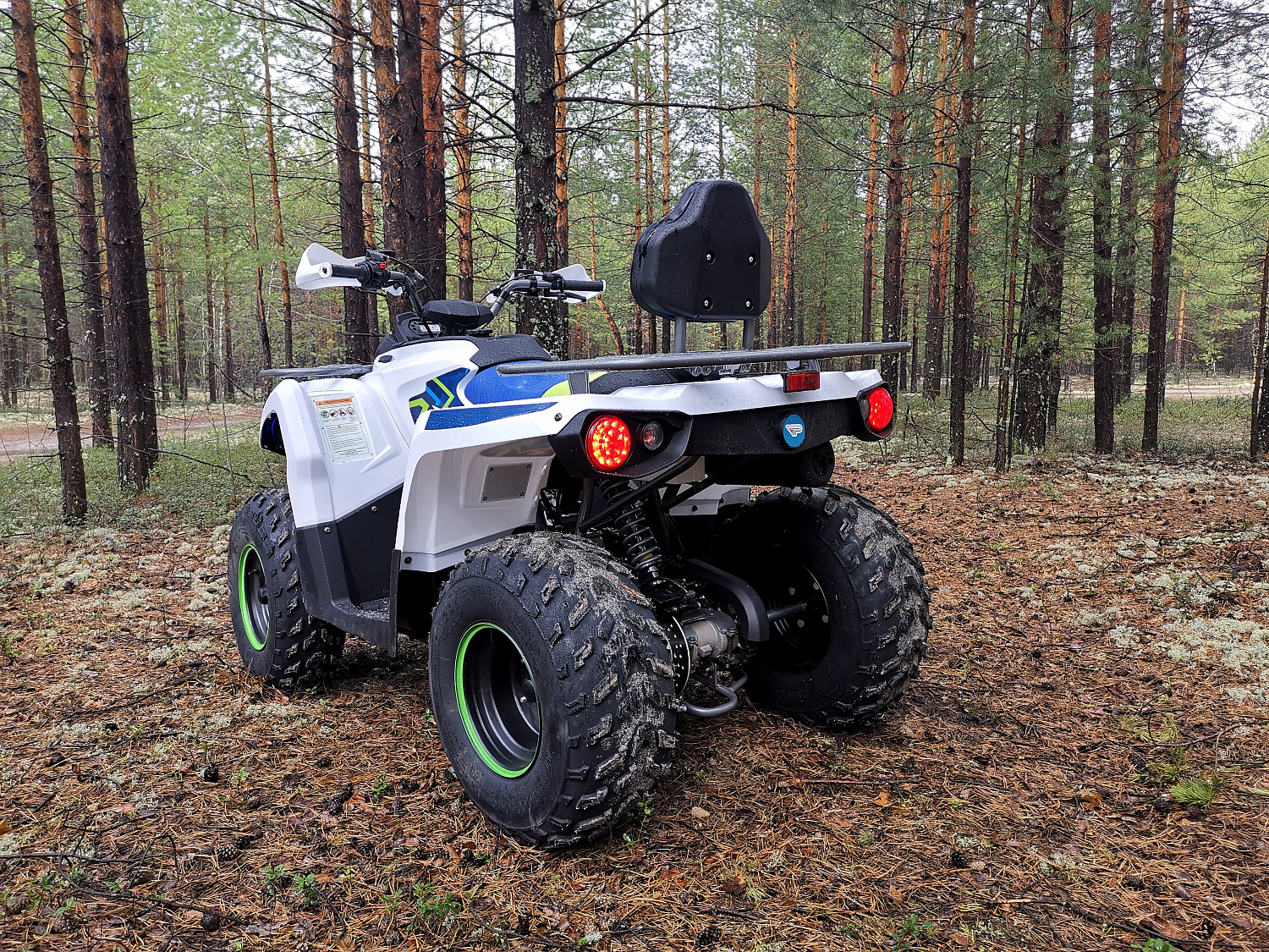 Квадроцикл PROMAX RENEGADE 280 (2025) 